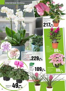 akční leták bauMax 26.9.2014-9.10.2014