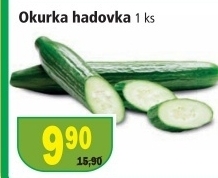 Okurka hadovka