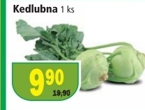 Kedlubna bila