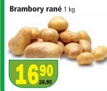 Brambory konzumni rane