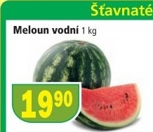 Meloun vodni