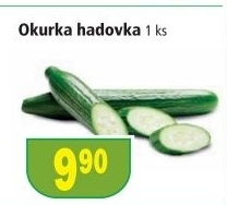 Okurka hadovka