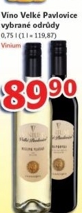 Vino vinium velke pavlovice