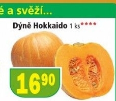 Dyne hokkaido