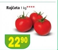 Rajcata