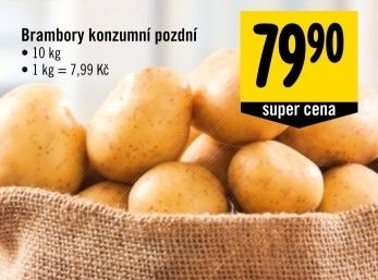 Brambory konzumni pozdni