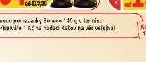 Vino templarske sklepy cejkovice