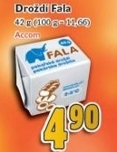 Drozdi fala