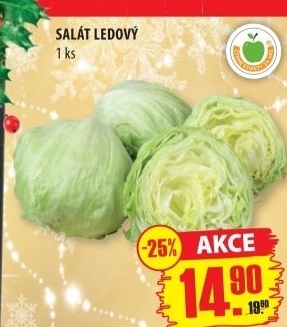 Salat ledovy