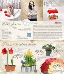 akční leták Lidl 28.12.2015-3.1.2016