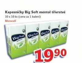 Kapesnicky papirove big soft