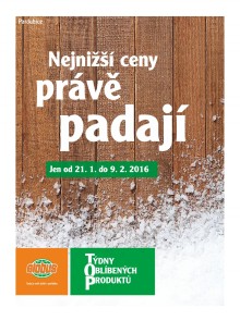 akční leták Globus 21.1.2016-9.2.2016