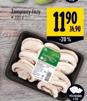 Zampiony rezy albert quality