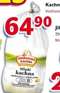 Kachna mrazena vodnanska kachna