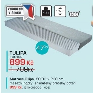 Tulipa 80x200