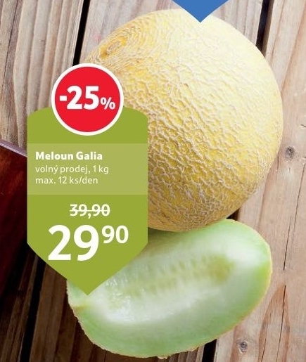 Meloun Galia