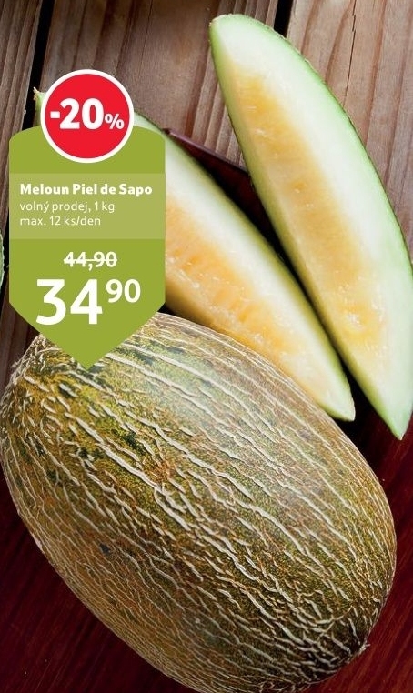 Meloun Piel de Sapo