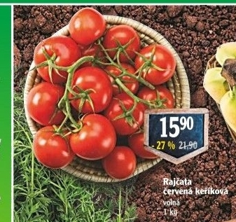 Rajčata keříková