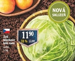 Zelí hlávkové bílé