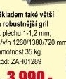 Gril BBQ G21