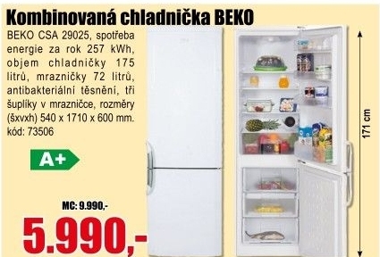 Kombinovaná lednice Beko CSA 29025