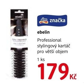 Kartáč na vlasy Professional Ebelin