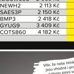 205/55/R16 91 H GOODRIDE SW608