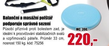 Balanční podložka Lifefit