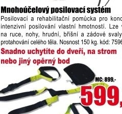 Závěsný posilovací systém Lifefit