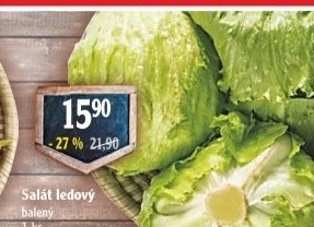 Salát ledový