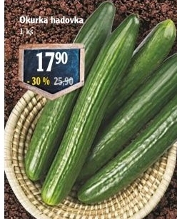 Okurka hadovka