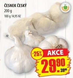 Česnek český