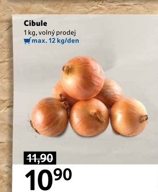 Cibule kuchyňská žlutá