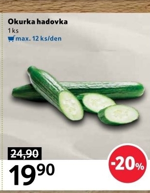 Okurka hadovka
