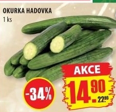 Okurka hadovka