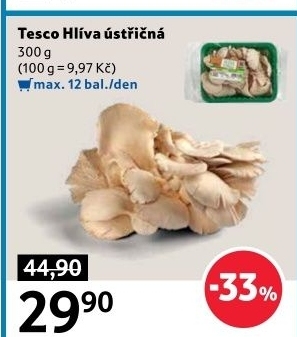 Hlíva ústřičná Tesco