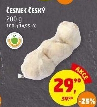 Česnek český