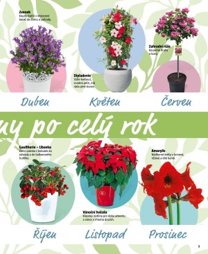 akční leták BAUHAUS 19.4.2017-31.8.2017