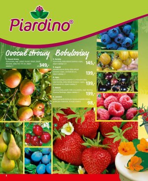 akční leták BAUHAUS 19.4.2017-31.8.2017