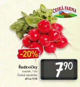 Ředkvičky Česká farma