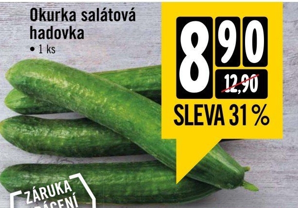 Okurka hadovka