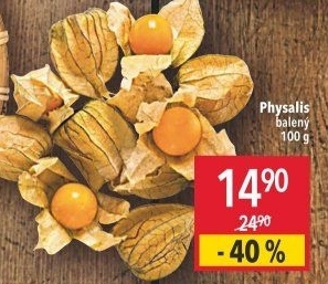 Physalis - Mochyně