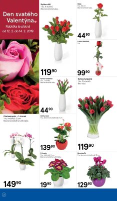 akční leták Tesco 13.2.2019-19.2.2019