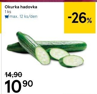 Okurka hadovka