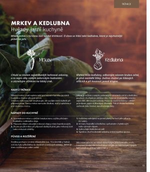 akční leták Albert 3.4.2019-7.5.2019