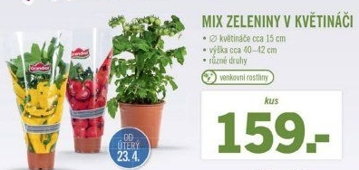 Mix zelených rostlin