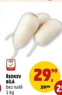 Ředkev bílá
