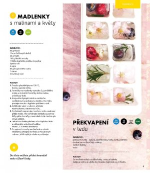 akční leták Albert 8.5.2019-4.6.2019