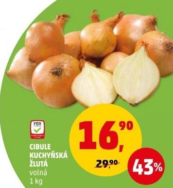 Cibule kuchyňská žlutá