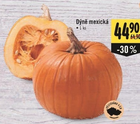 Dýně mexická